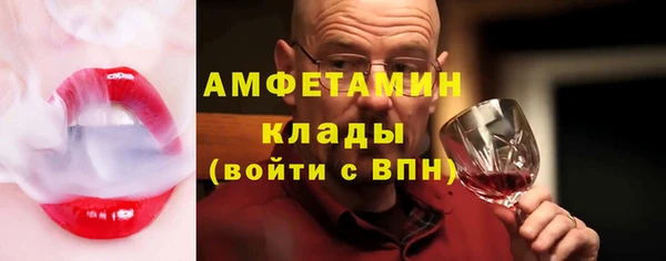 амф Краснослободск