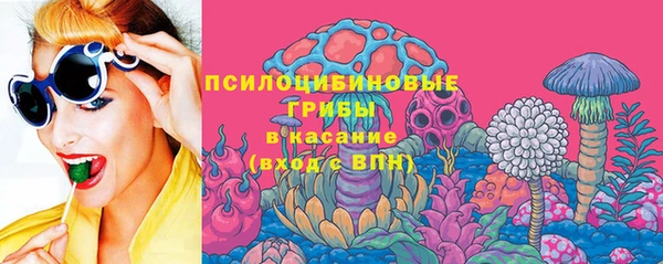 индика Красноперекопск